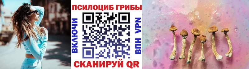 Псилоцибиновые грибы мухоморы  кракен ТОР  Рошаль 